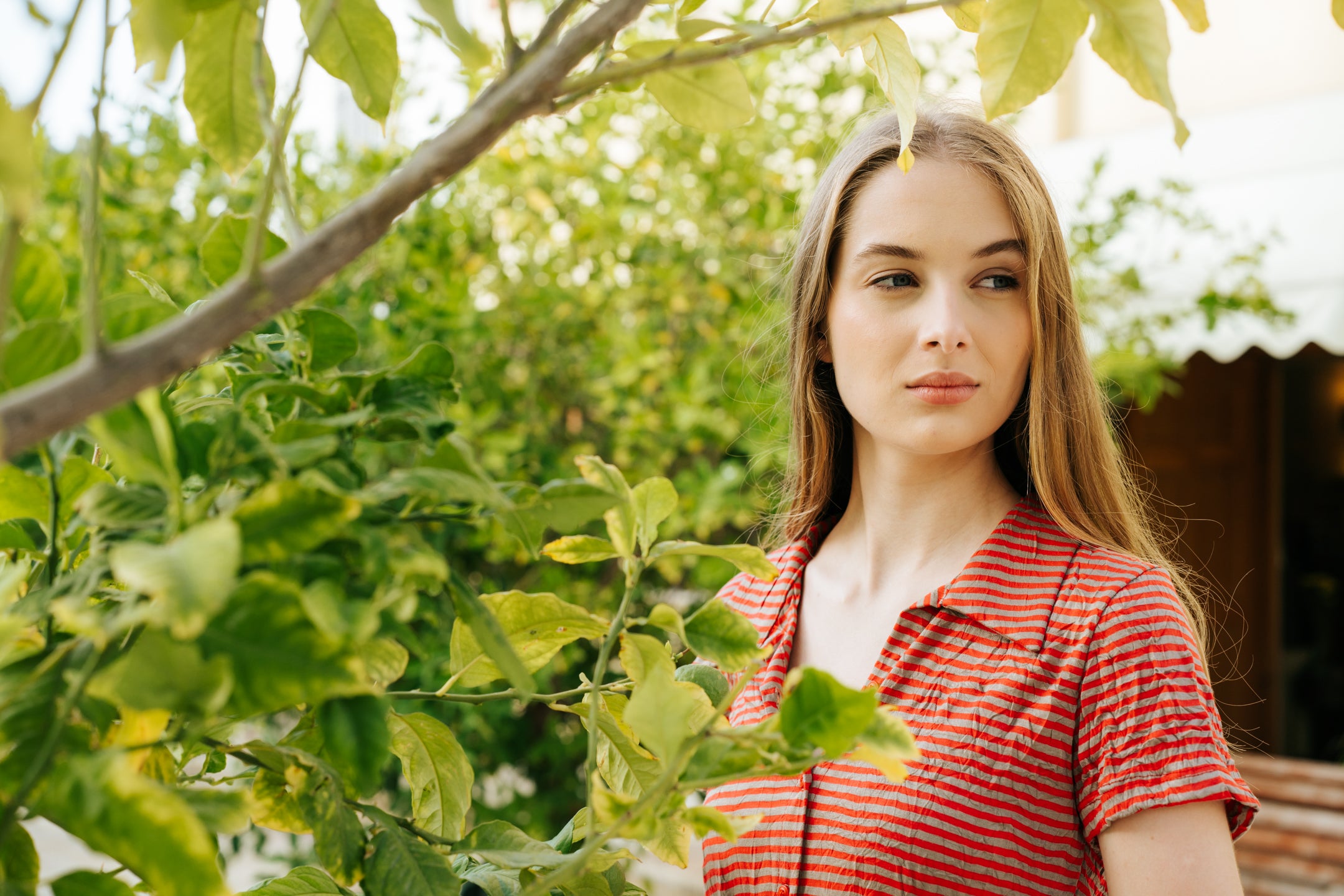 חולצה מוניק